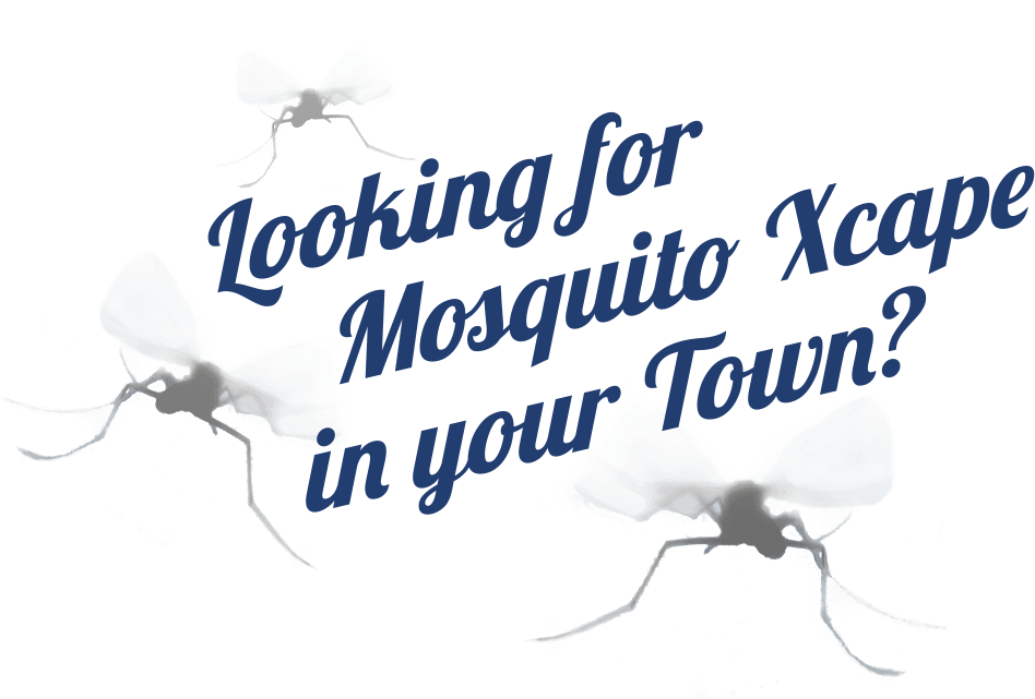 Looking-Mosquito-Excape-948x641-reduced